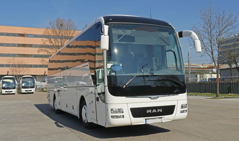 Tuscany: Buses operator in Arezzo in Arezzo and Italy