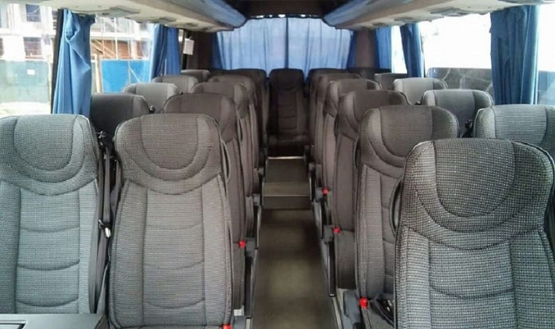 Italy: Coach hire in Tuscany in Tuscany and Lucca