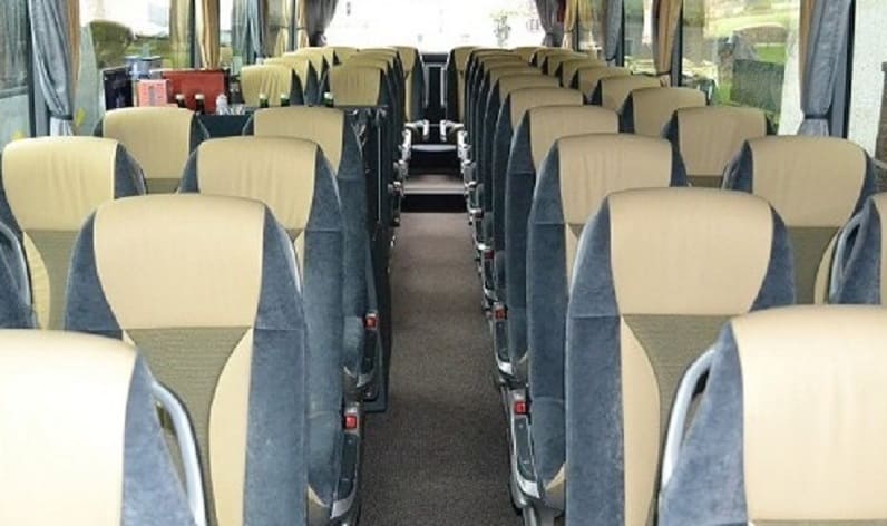 Italy: Coach operator in Italy in Italy and Marche
