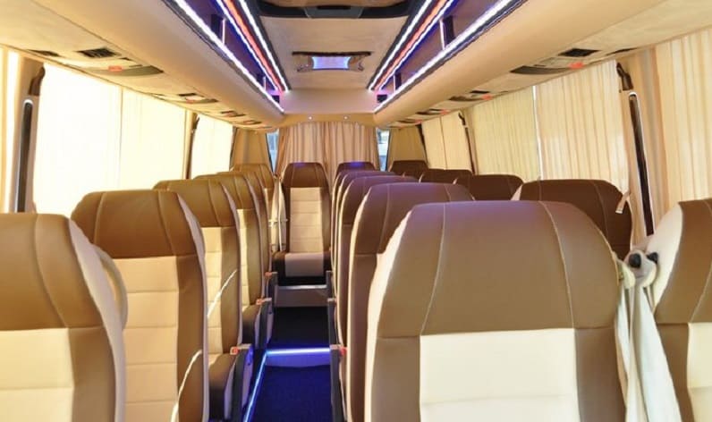 Italy: Coach reservation in Tuscany in Tuscany and Livorno