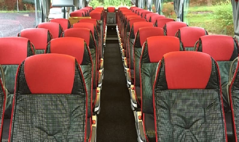 Italy: Coaches rent in Emilia-Romagna in Emilia-Romagna and Reggio Emilia