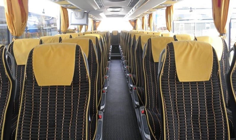 Italy: Coaches reservation in Tuscany in Tuscany and Lucca